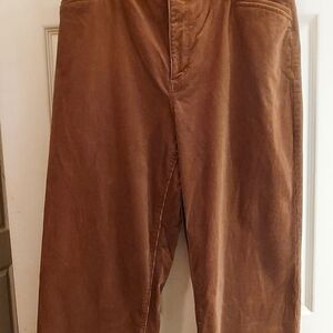 Ann Taylor Chocolate Straight Leg Corduroy Pants